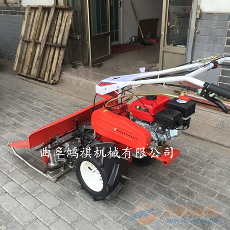 IMG170511172428398957.jpg