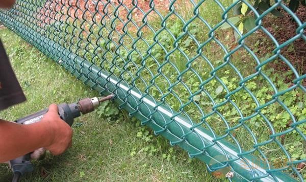 IMG160712170440741307.jpg