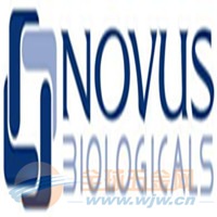 Novus代理
