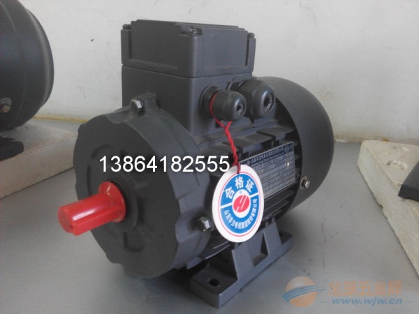 【销售】乌兰浩特YX3电机成功配套桂冠电力集