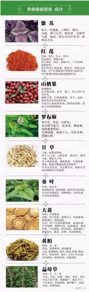养森瘦瘦塑身