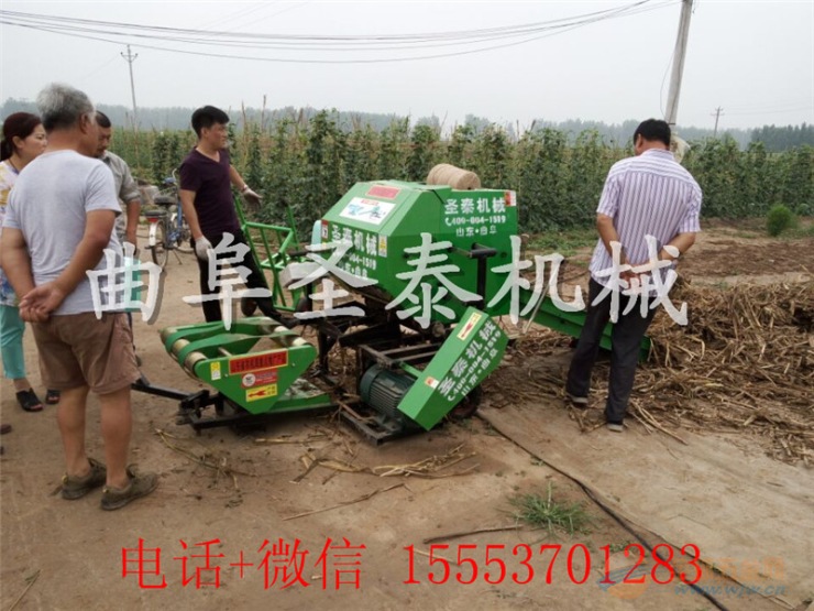 IMG160403162106546355.jpg