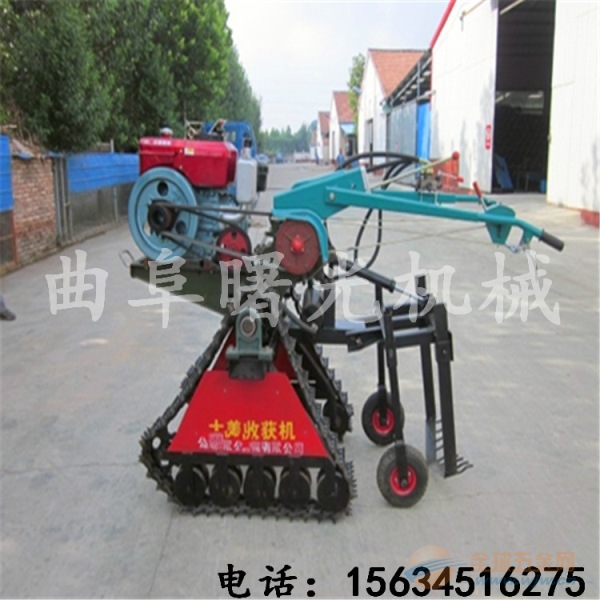 IMG170303161547766609.jpg