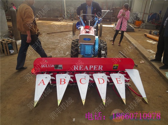 IMG170221141818575754.jpg