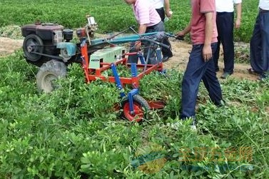 IMG160429143848677359.jpg