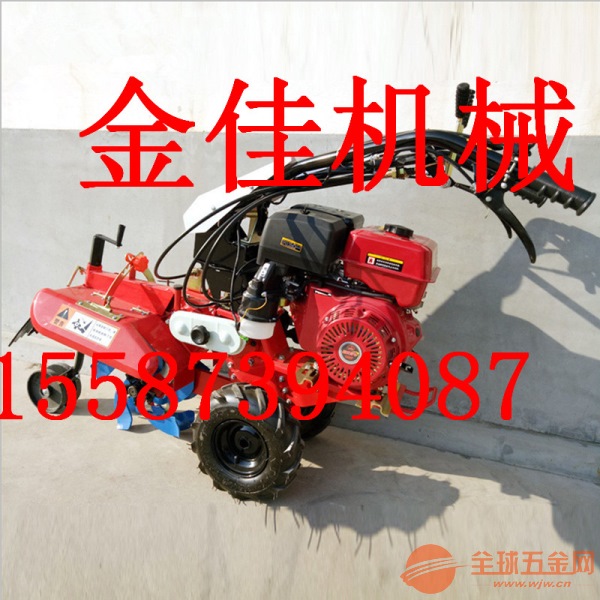 IMG180615173104754224.jpg