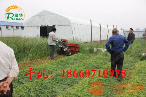 大型水稻收割机报价 IMG180424101748501460.jpg