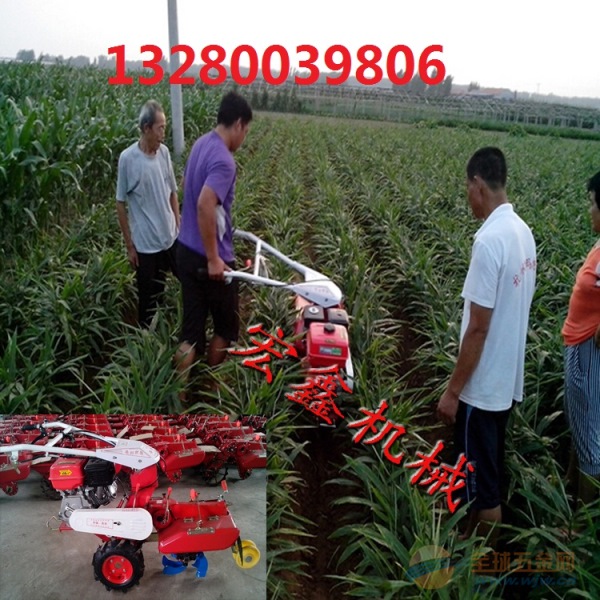 IMG160623163725112322.jpg