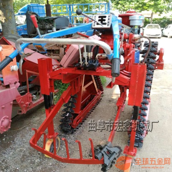 IMG171101140503668757.jpg