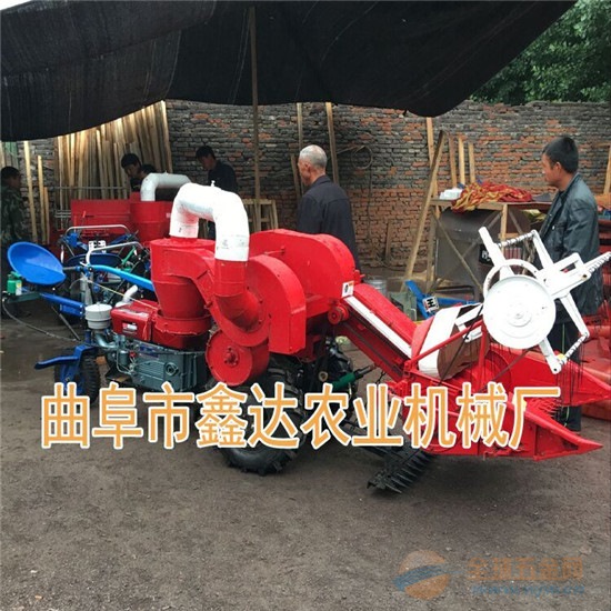 IMG160629165346402724.jpg