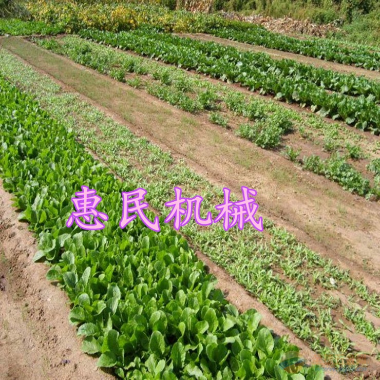 IMG170510082457664773.jpg