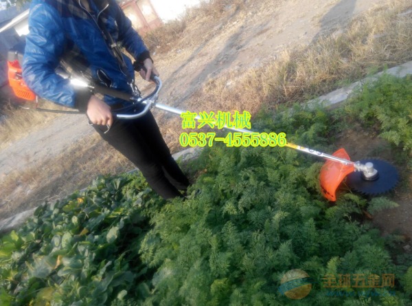 IMG160831171331129689.jpg