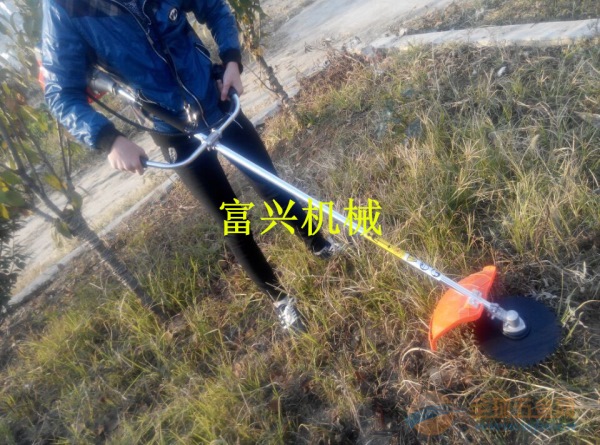 IMG160831171331426523.jpg