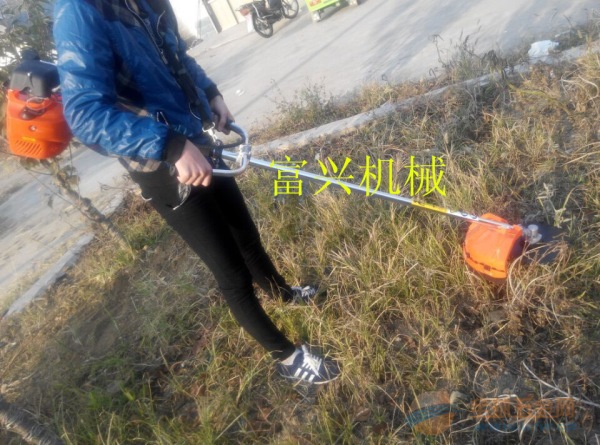 IMG160831171331691657.jpg
