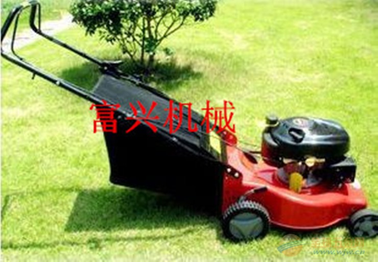 IMG160901152349184565.jpg