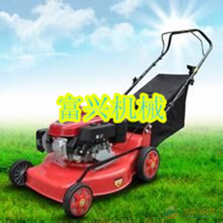 IMG160901152431897746.jpg