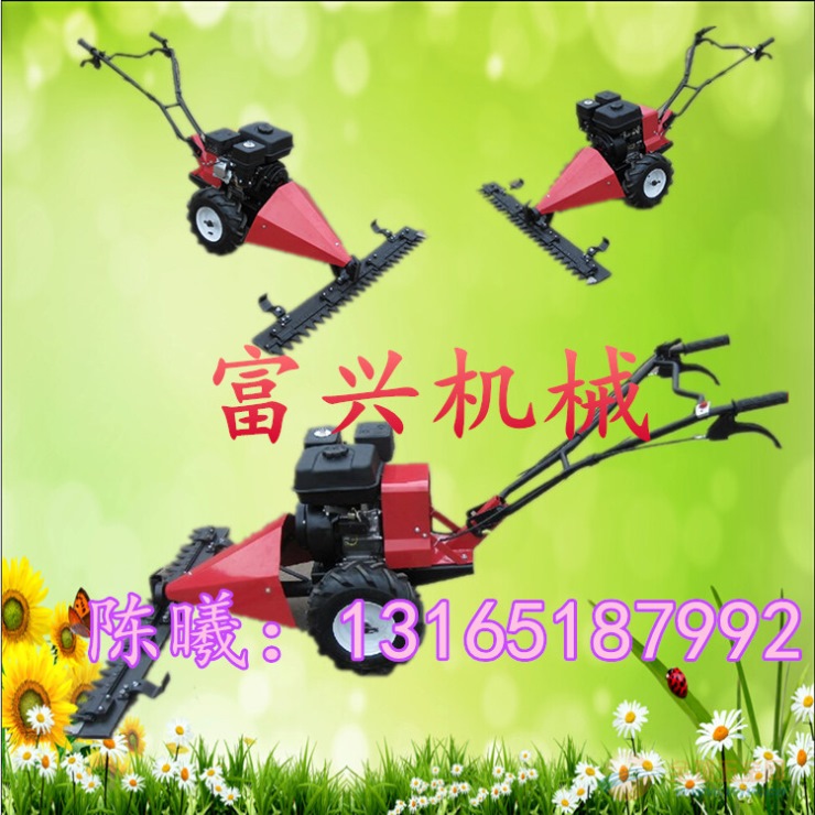 IMG160914162326516304.jpg