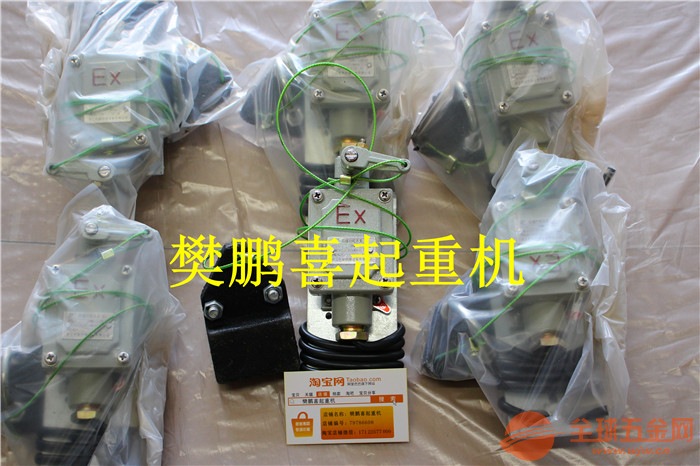 麻阳苗族自治县防爆起重机找哪家