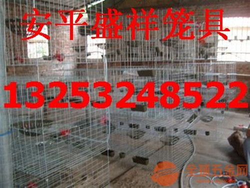 IMG180411111949291849.jpg