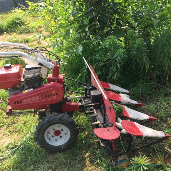 IMG170819104556942069.jpg