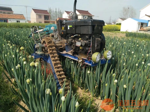 IMG180629103217746657.jpg