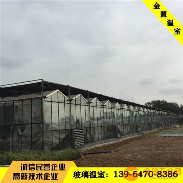 贵阳供应农业种植玻璃温室大棚 贵阳1000平玻