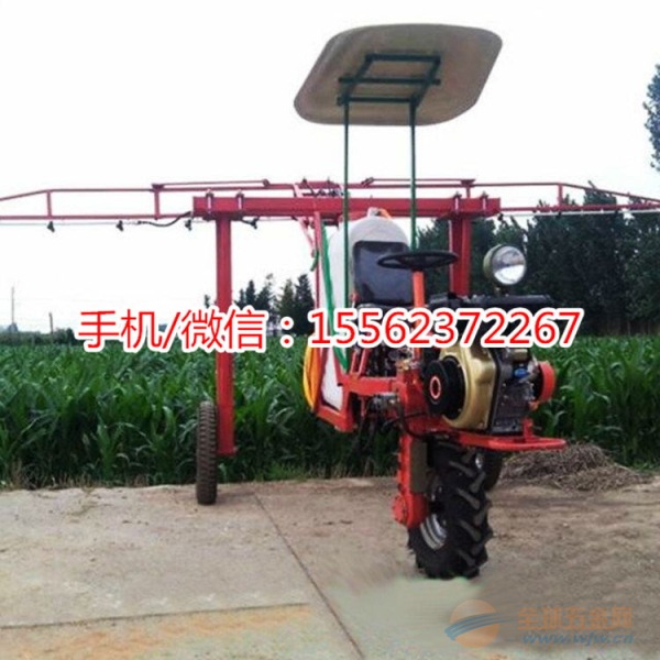 汽油高压打药机型号定做加工 打药机