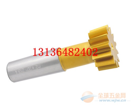 锥柄插齿刀现货供应非标定做10天交货 锥柄插齿刀现货