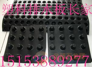 百色PVC塑料排水板厂家 土工膜厂家