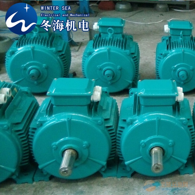 节能电机YX3-315M-4-132KW 上海高效节能电机 YX3电机