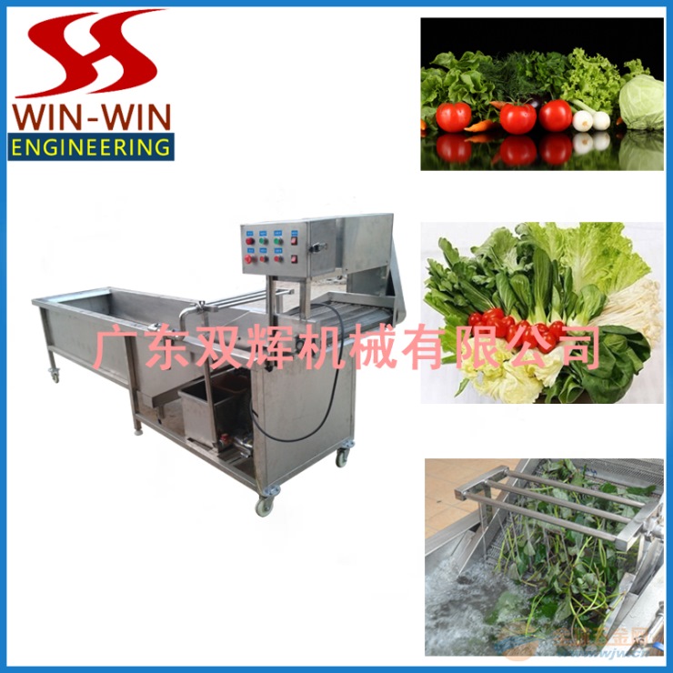 双辉机械DH-325 大型蔬菜清洗机 带臭氧消毒蔬菜清洗机 DH-325 大型蔬菜清洗机