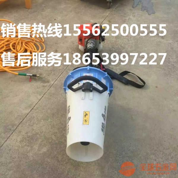 手提式汽油打药机柑橘果树喷雾器自走式机动药机