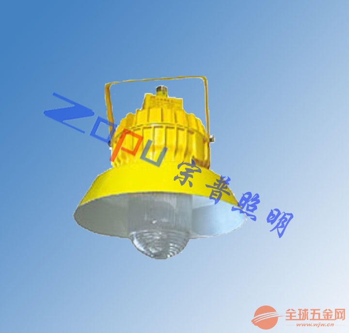 高顶防爆泛光灯TGF752,防爆灯TGF752 高顶防爆泛光灯TGF752