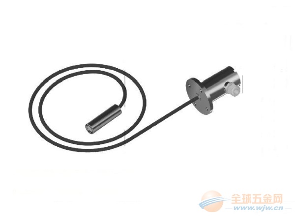 电缆投入式液位变送器LTJ31-1500/25LH-T22图 液位变送器LTJ31-1500