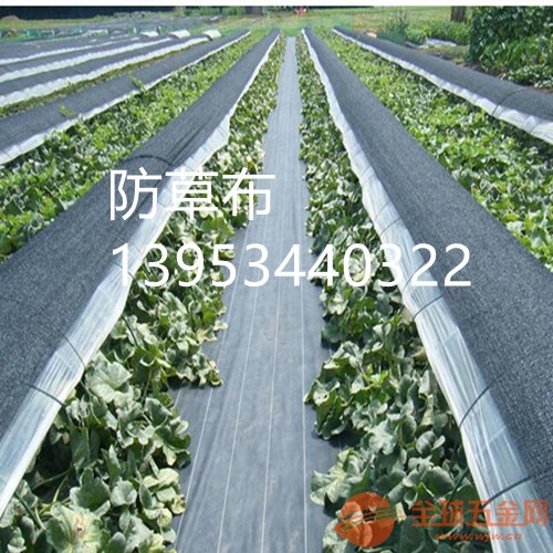 寿光蔬菜大棚100克防草布厂家