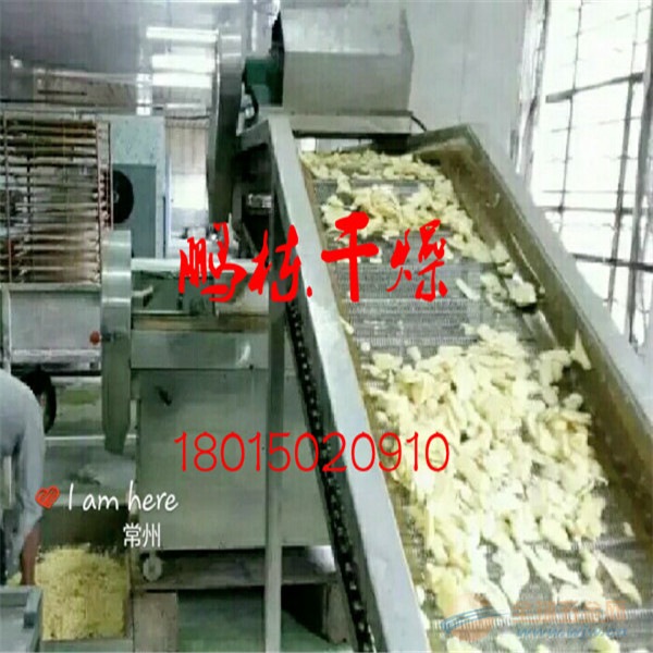 蒜片脱水烘干机 蒜片烘干X多层带式干燥机 带式干燥设备