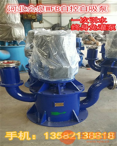 会泉自吸泵125WFB-B2《不锈钢污水泵》X品质 会泉