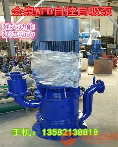 会泉自吸泵50WFB-B1《高效智能自吸泵》工程污水泵 会泉