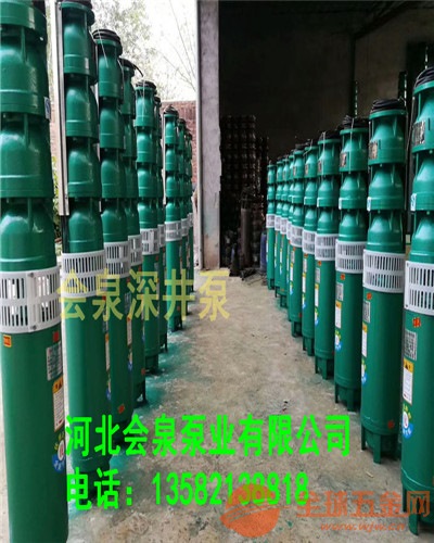 电动潜水泵175QJ25-104 会泉