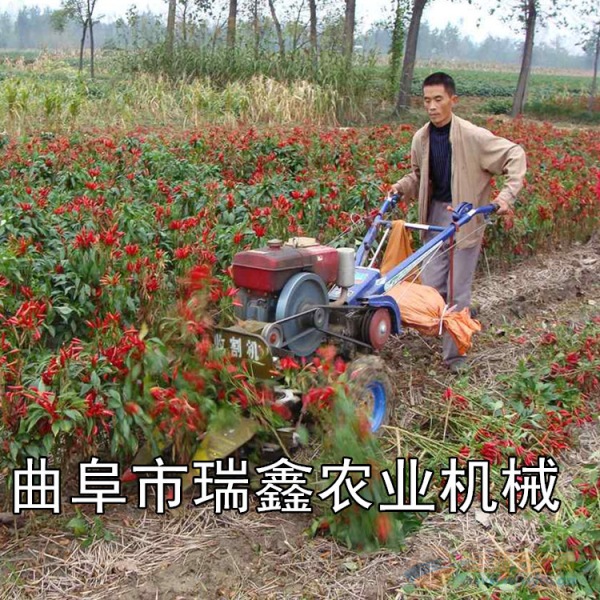 皇竹草收割机稻草割晒机批发芦苇辣椒牧草割晒机 收获机械