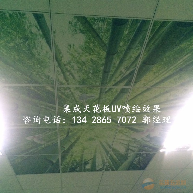 彩绘集成吊顶的机器 集成吊顶UV印花机价格 彩绘集成吊顶的机器