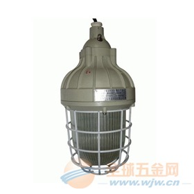 HRD81防爆紧凑型节能灯(厂用防爆节能灯) 防爆灯、防水灯