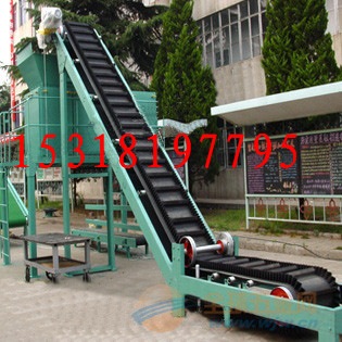 定做食品X裙边隔断输送机 食品X裙边输送机 移动式皮带机