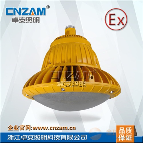 ZBD104 -III 80W--100W LED免维护防爆灯 BA ZBD104-III