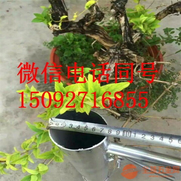 价格合理多功能栽苗器 新型瓜果苗定植器 润豪供应栽苗器