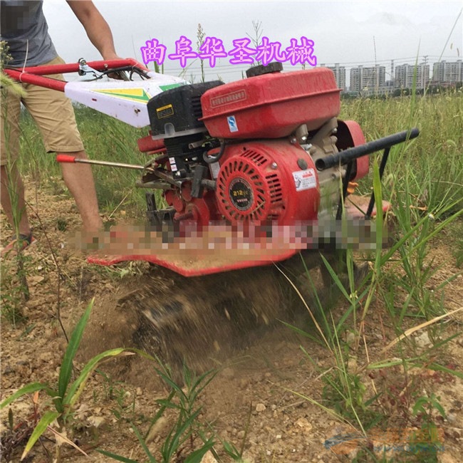 多功能田园微耕机 大功率汽油微耕机 轻便旋耕犁田机 塑料大棚X微耕机