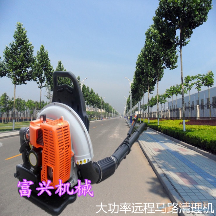 大功率吹雪机清理机 汽油吹吸树叶机报价 轻便吹风机
