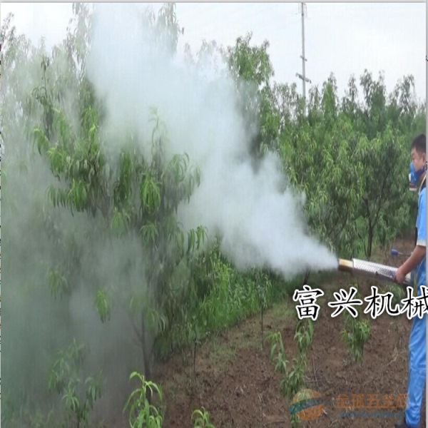 伊川县烟雾喷雾器价格小型汽油烟雾机 远程烟雾打药机