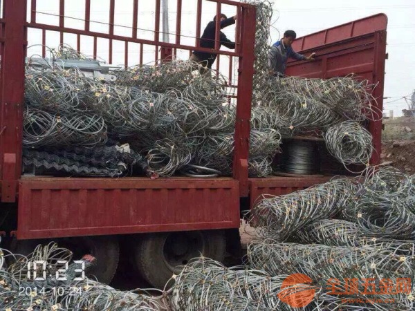 天津浸塑浸塑护栏网 护栏网