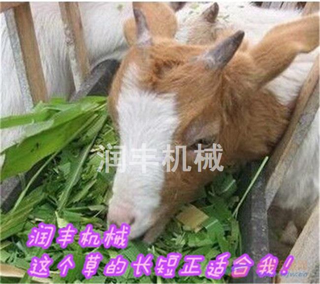 甘蔗铡草揉搓机 大型移动铡草粉碎机 青草铡草揉搓机 养殖饲料铡草粉碎机